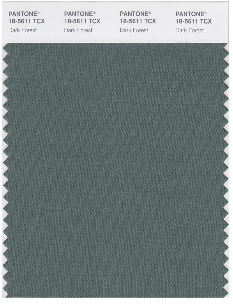 Pantone Smart 18-5611 TCX Color Swatch Card | Dark Forest 