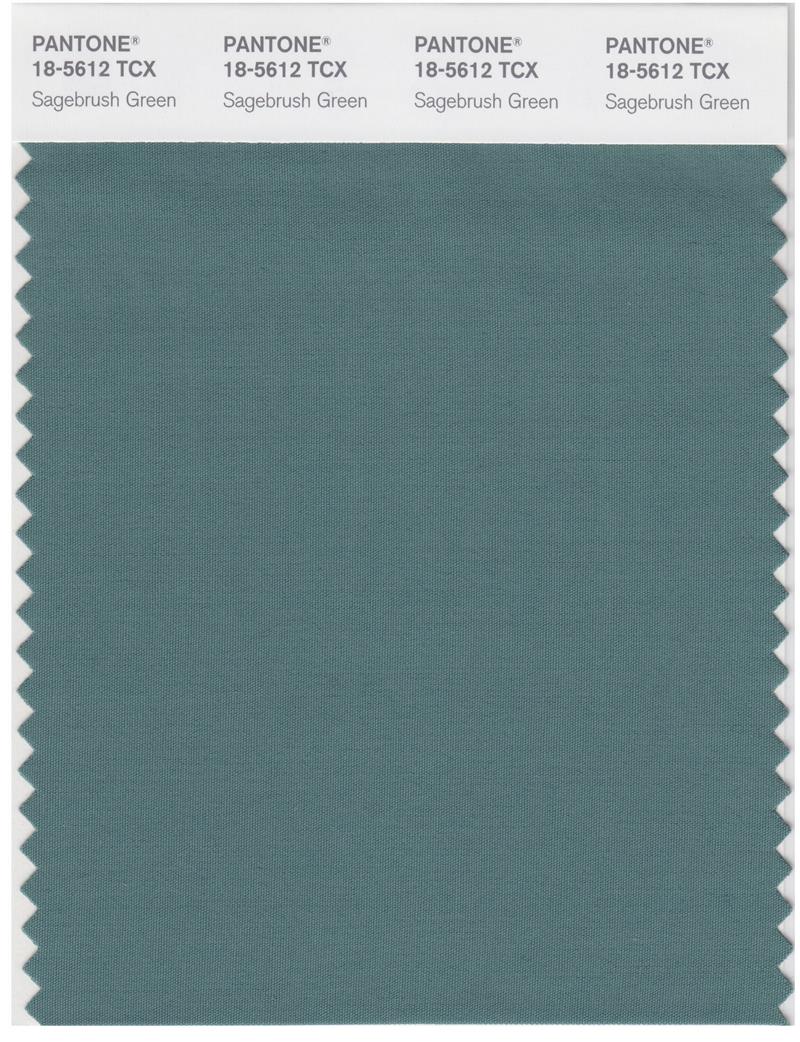 Pantone Smart 18-5612 TCX Color Swatch Card | Sagebrush Green 