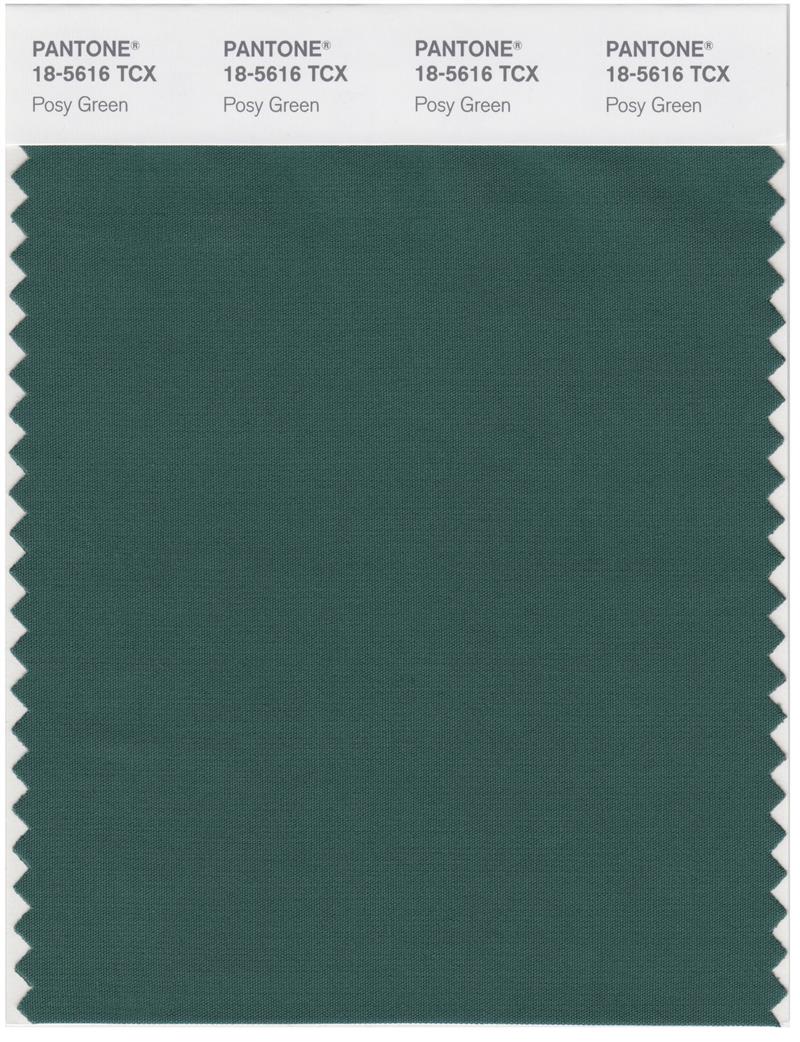 Pantone Smart 18-5616 TCX Color Swatch Card | Posy Green 