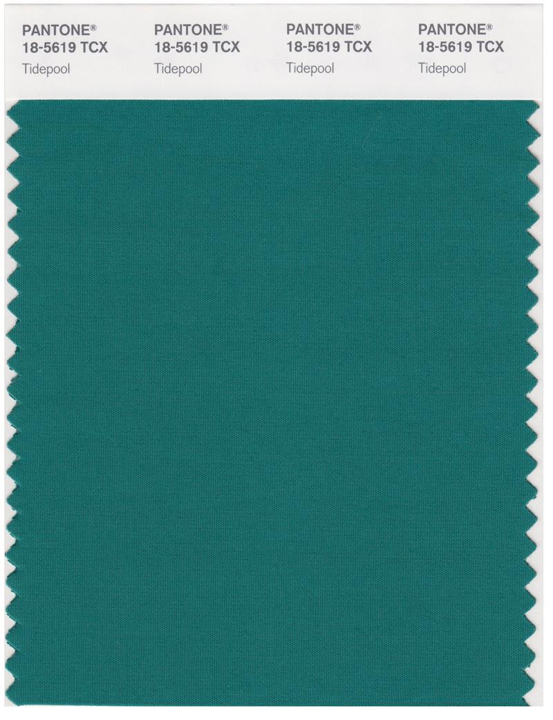 Pantone Smart 18-5619 TCX Color Swatch Card | Tidepool 