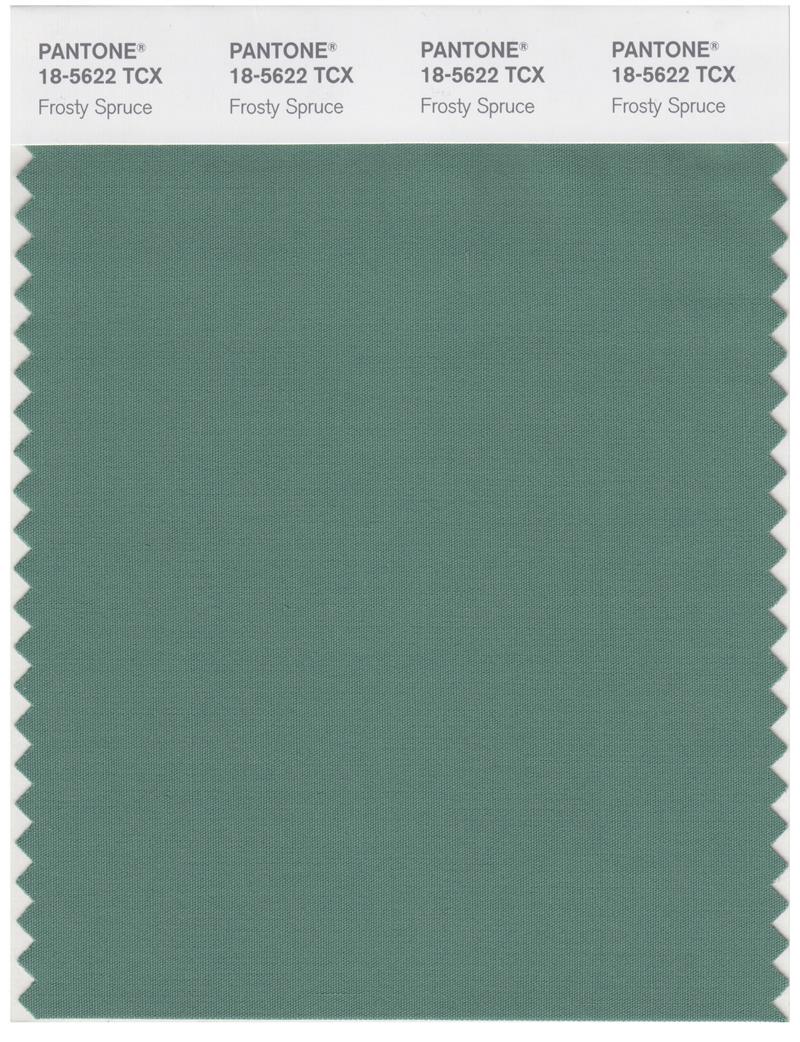 Pantone Smart 18-5622 TCX Color Swatch Card | Frosty Spruce 