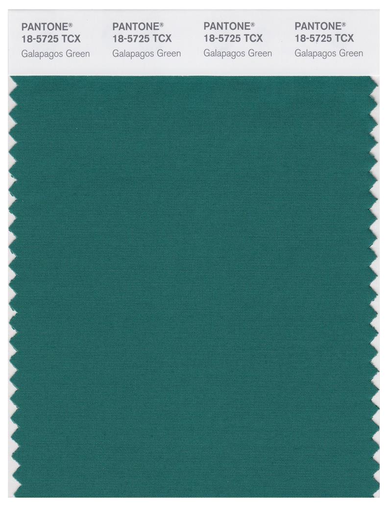 Pantone Smart 18-5725 TCX Color Swatch Card | Galapagos Green 