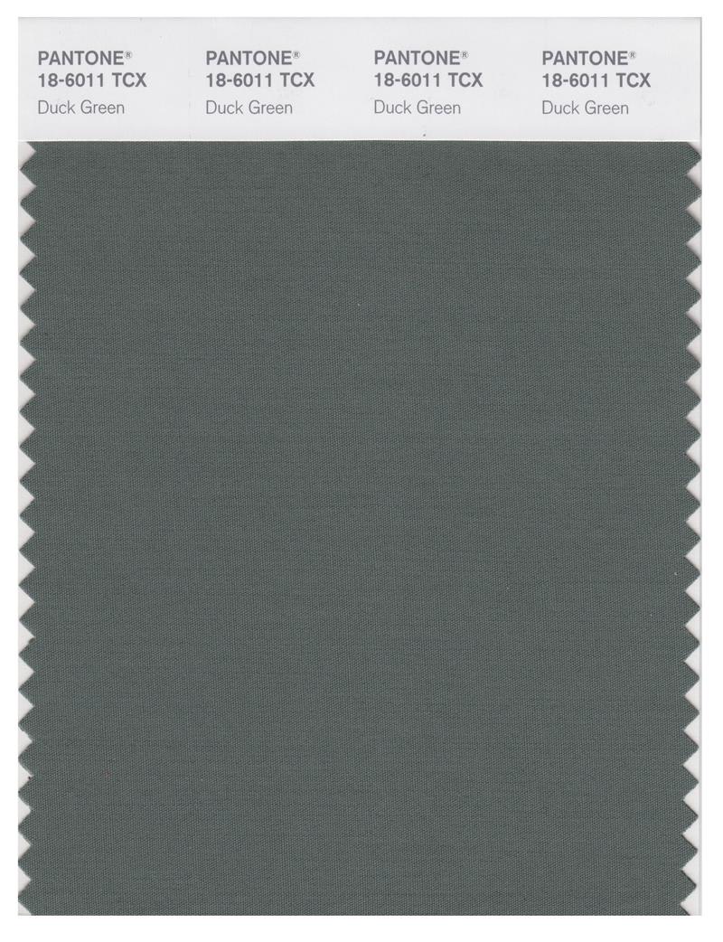 Pantone Smart 18-6011 TCX Color Swatch Card | Duck Green 