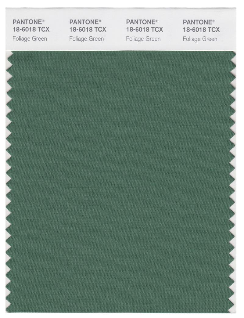 Pantone Smart 18-6018 TCX Color Swatch Card | Foliage Green 