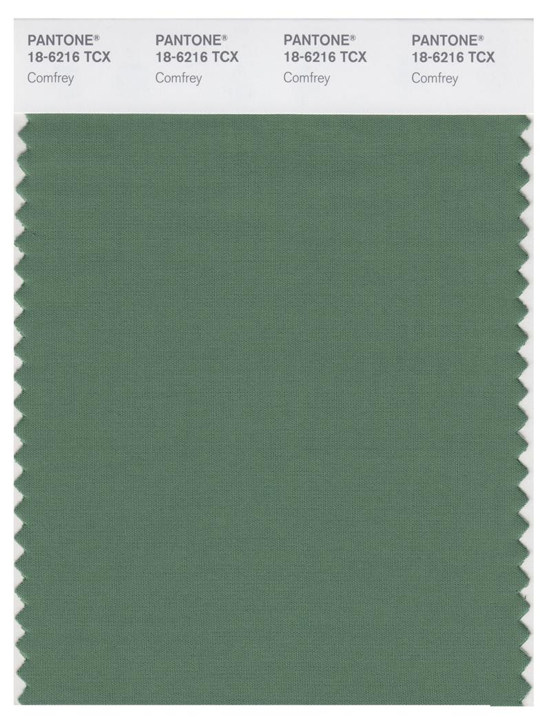 Pantone Smart 18-6216 TCX Color Swatch Card | Comfrey 