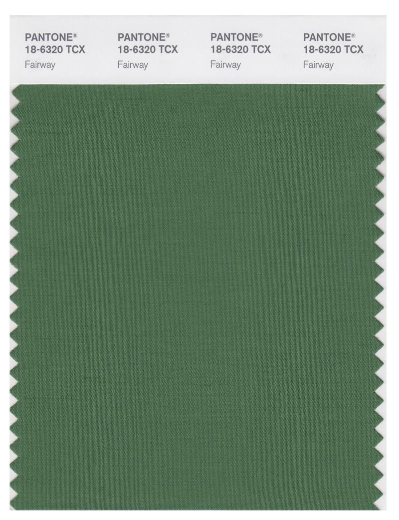 Pantone Smart 18-6320 TCX Color Swatch Card | Fairway 