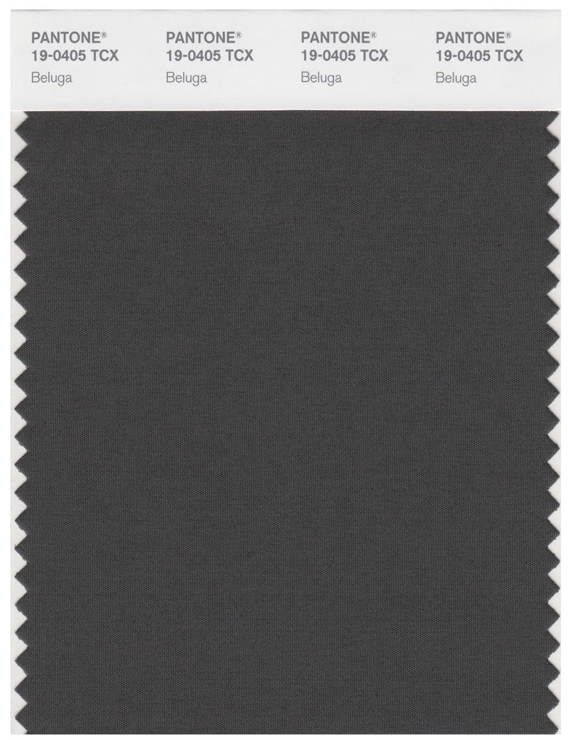 Pantone Smart 19-0405 TCX Color Swatch Card | Beluga 