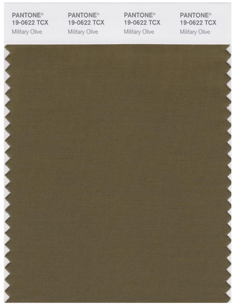 Pantone Smart 19-0622 TCX Color Swatch Card | Military Olive 