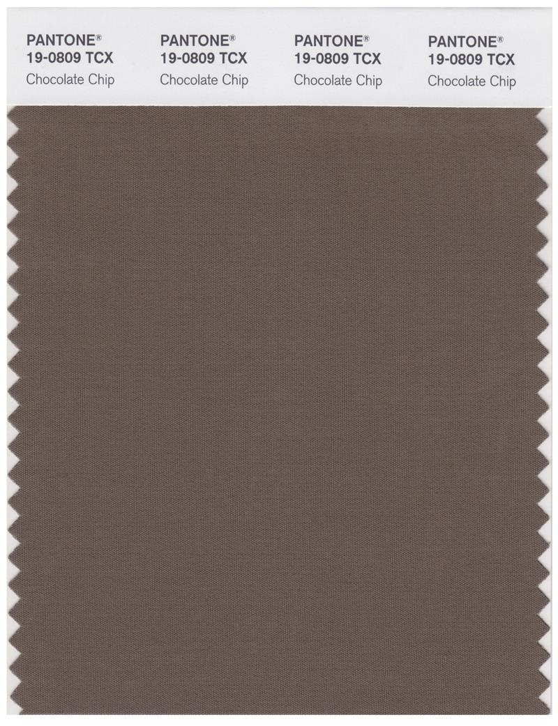 Pantone Smart 19-0809 TCX Color Swatch Card | Chocolate Chip 