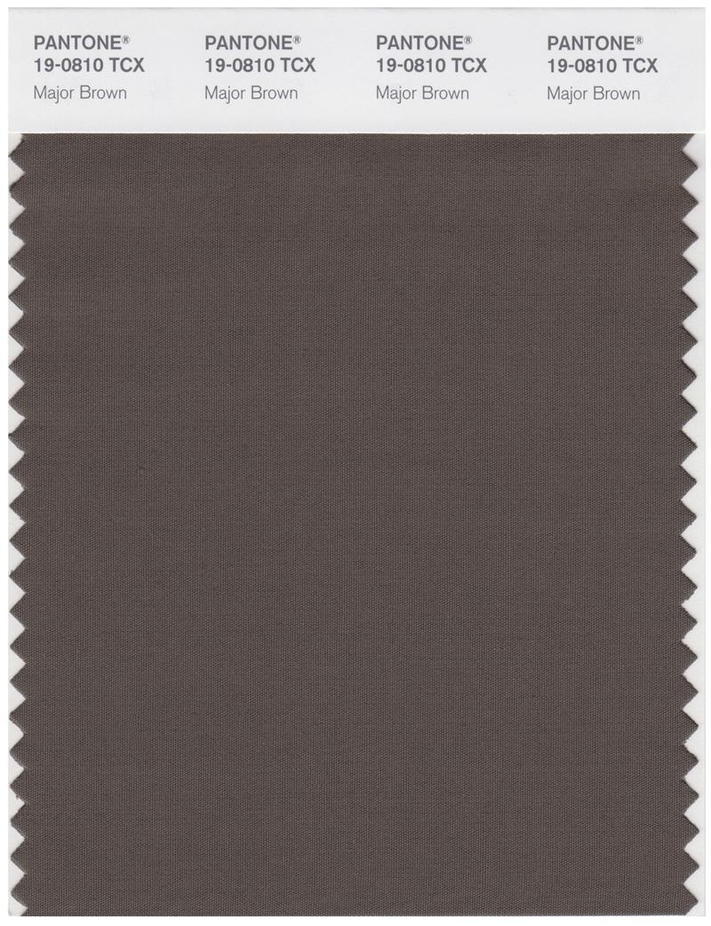 Pantone Smart 19-0810 TCX Color Swatch Card | Major Brown 