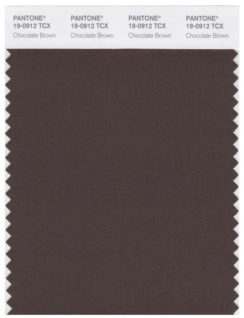 Pantone Smart 19-0912 TCX Color Swatch Card | Chocolate Brown 