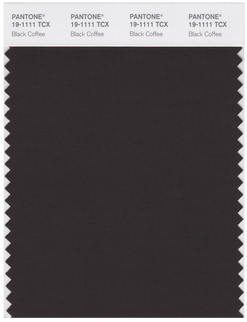 Pantone Smart 19-1111 TCX Color Swatch Card | Black Coffee 