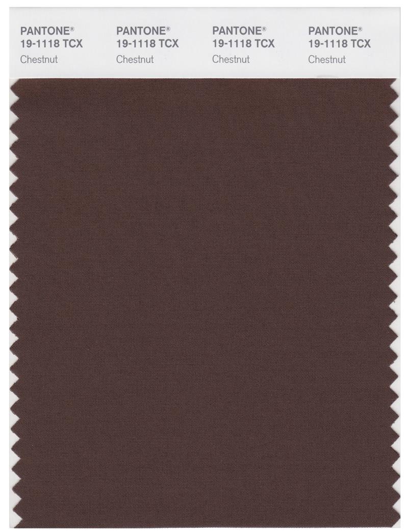 Pantone Smart 19-1118 TCX Color Swatch Card | Chestnut 