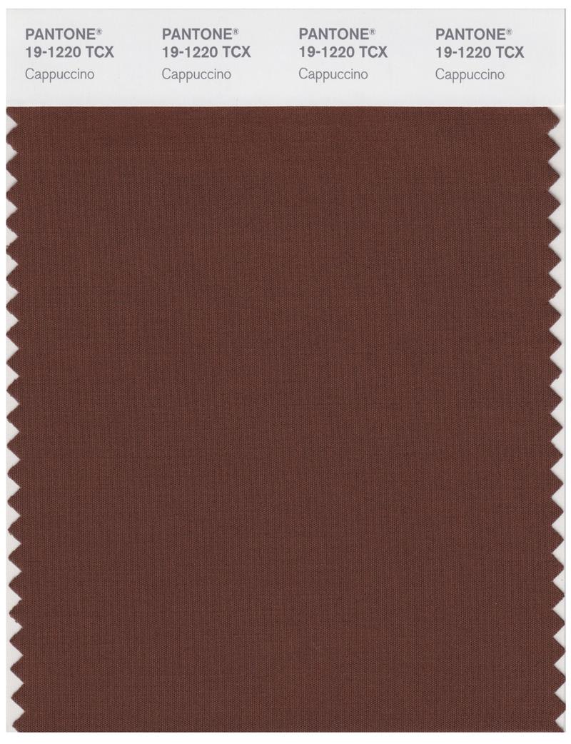 Pantone Smart 19-1220 TCX Color Swatch Card | Cappuccino 