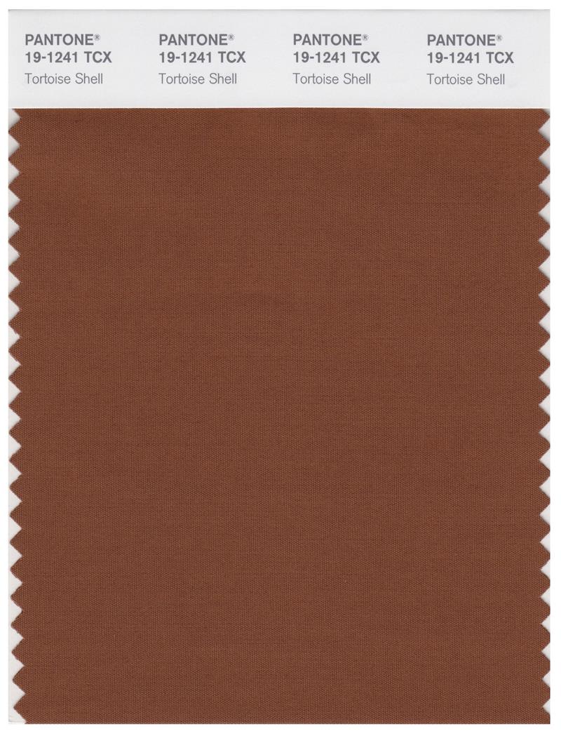 Pantone Smart 19-1241 TCX Color Swatch Card | Tortoise shell 