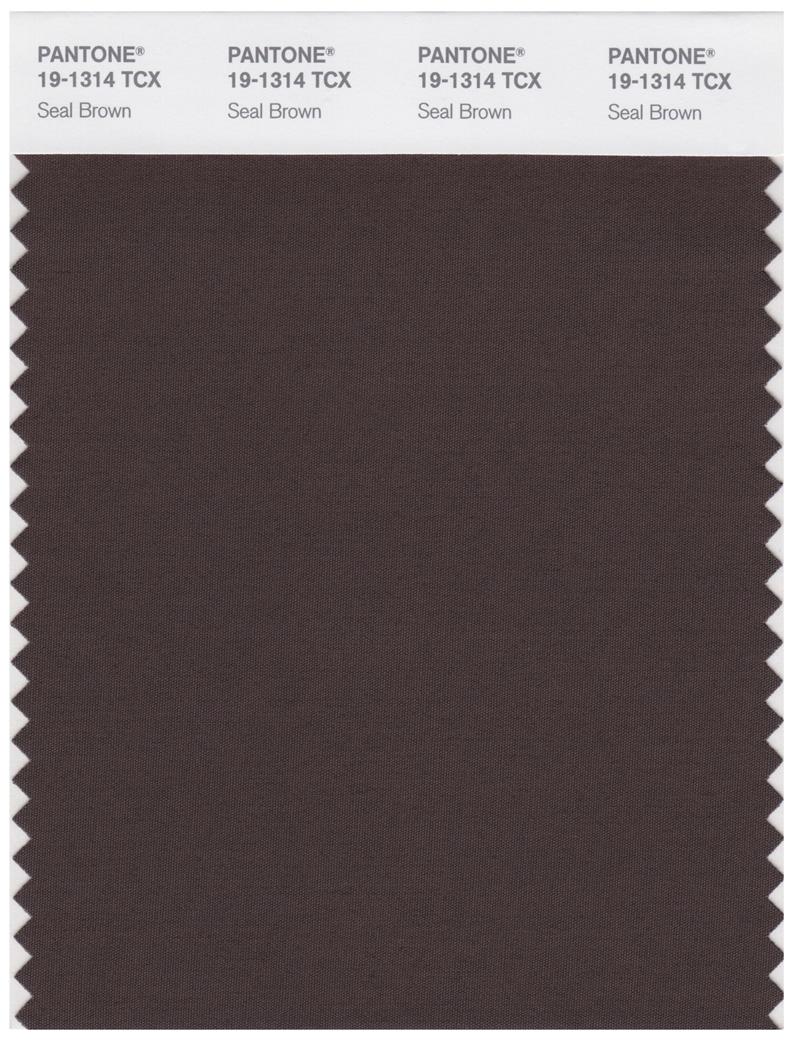 Pantone Smart 19-1314 TCX Color Swatch Card | Seal Brown 