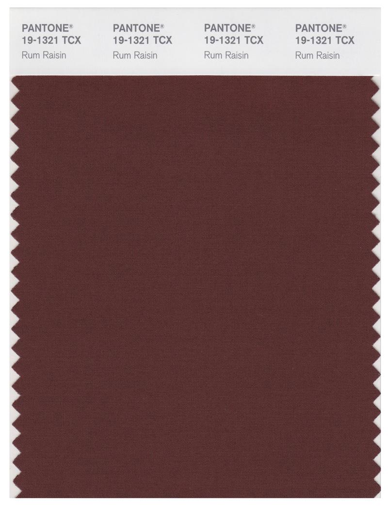 Pantone Smart 19-1321 TCX Color Swatch Card | Rum Raisin 