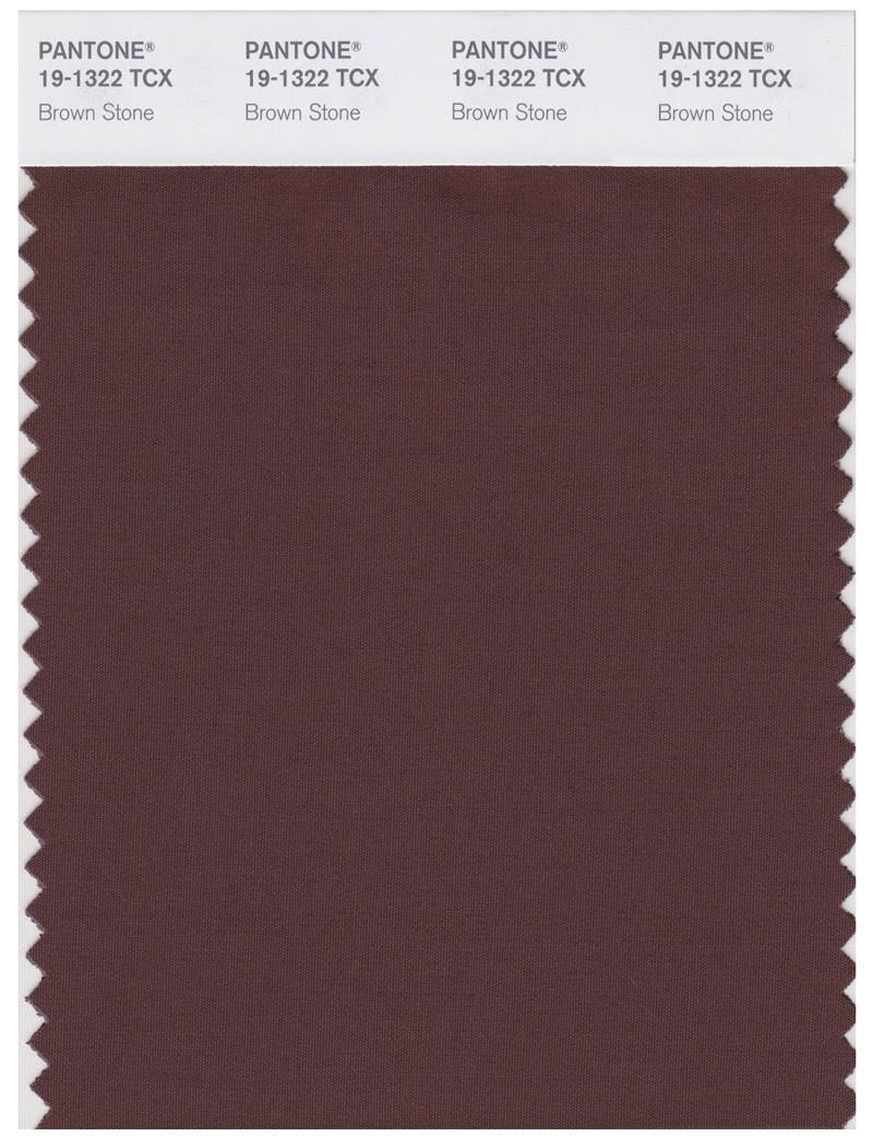 Pantone Smart 19-1322 TCX Color Swatch Card | Brown Stone 