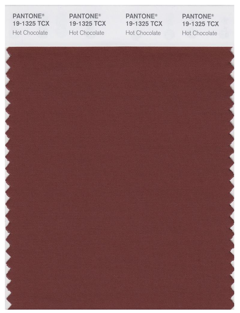 Pantone Smart 19-1325 TCX Color Swatch Card | Hot Chocolate 