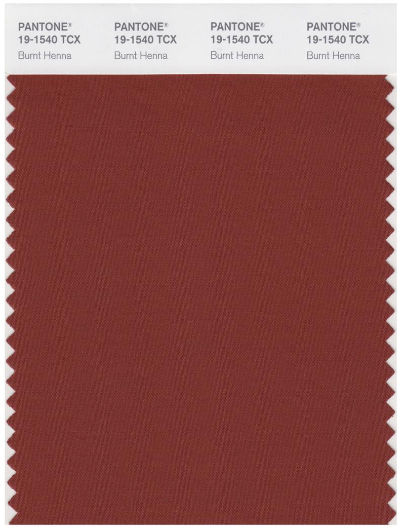 Pantone Smart 19-1540 TCX Color Swatch Card | Burnt Henna 