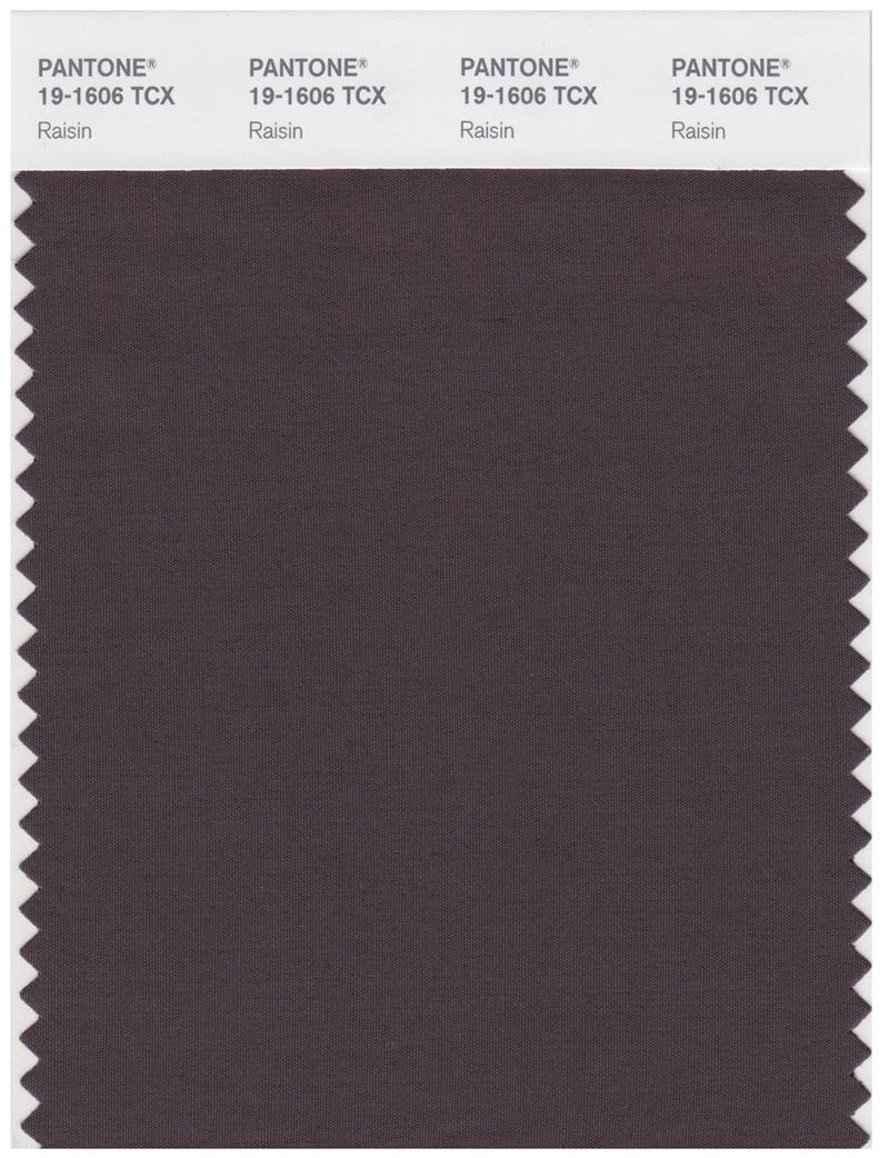 Pantone Smart 19-1606 TCX Color Swatch Card | Raisin 