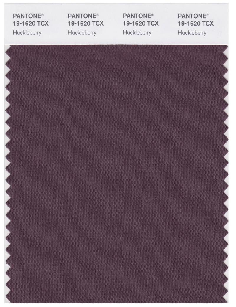 Pantone Smart 19-1620 TCX Color Swatch Card | Huckleberry 