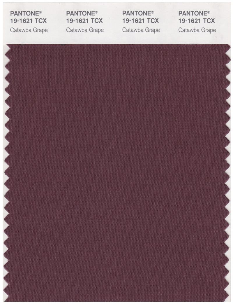 Pantone Smart 19-1621 TCX Color Swatch Card | Cataw Grape 