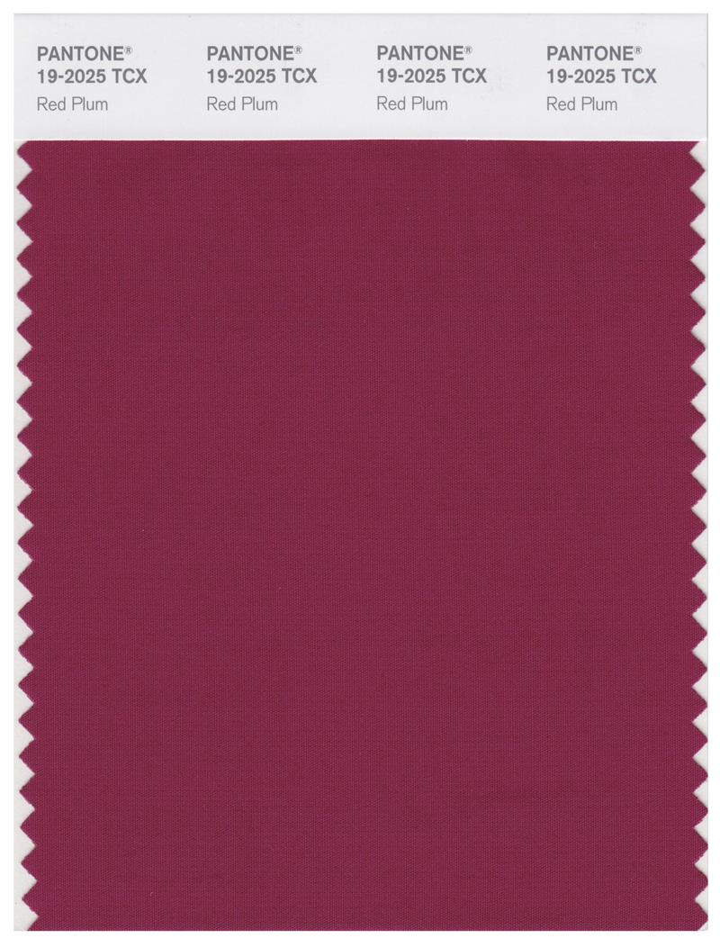 Pantone Smart 19-2025 TCX Color Swatch Card | Red Plum 