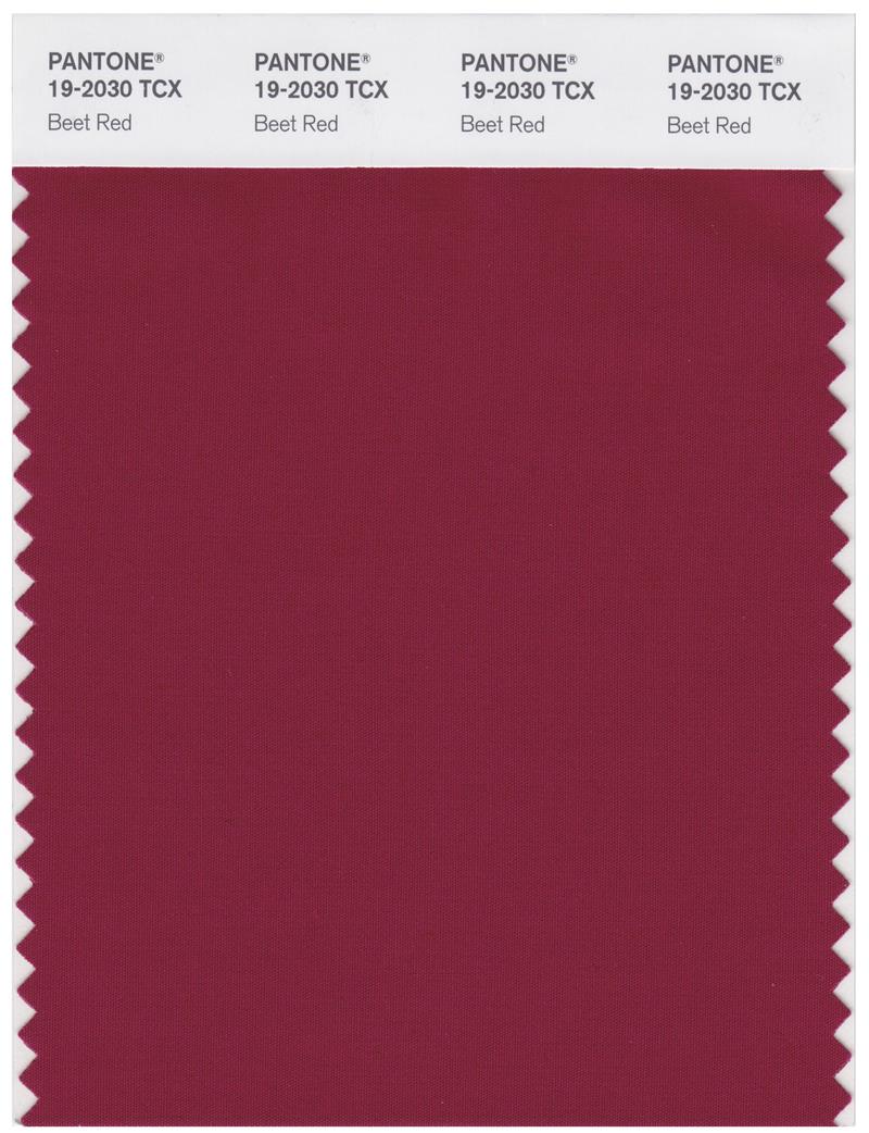 Pantone Smart 19-2030 TCX Color Swatch Card | Beet Red 