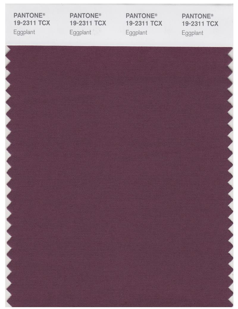 Pantone Smart 19-2311 TCX Color Swatch Card | Eggplant 