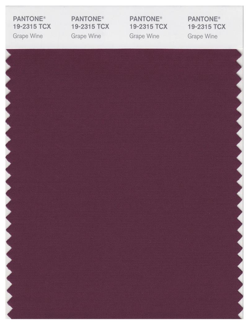 Pantone Smart 19-2315 TCX Color Swatch Card | Grape Wine 