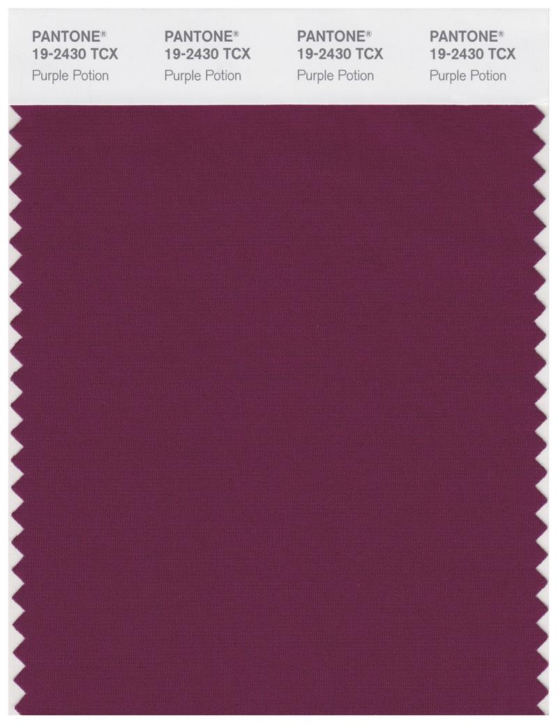 Pantone Smart 19-2430 TCX Color Swatch Card | Purple Potion 