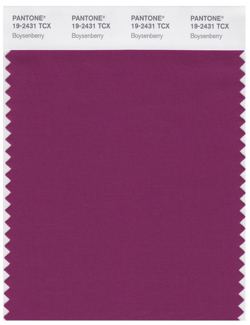 Pantone Smart 19-2431 TCX Color Swatch Card | Boysenberry 