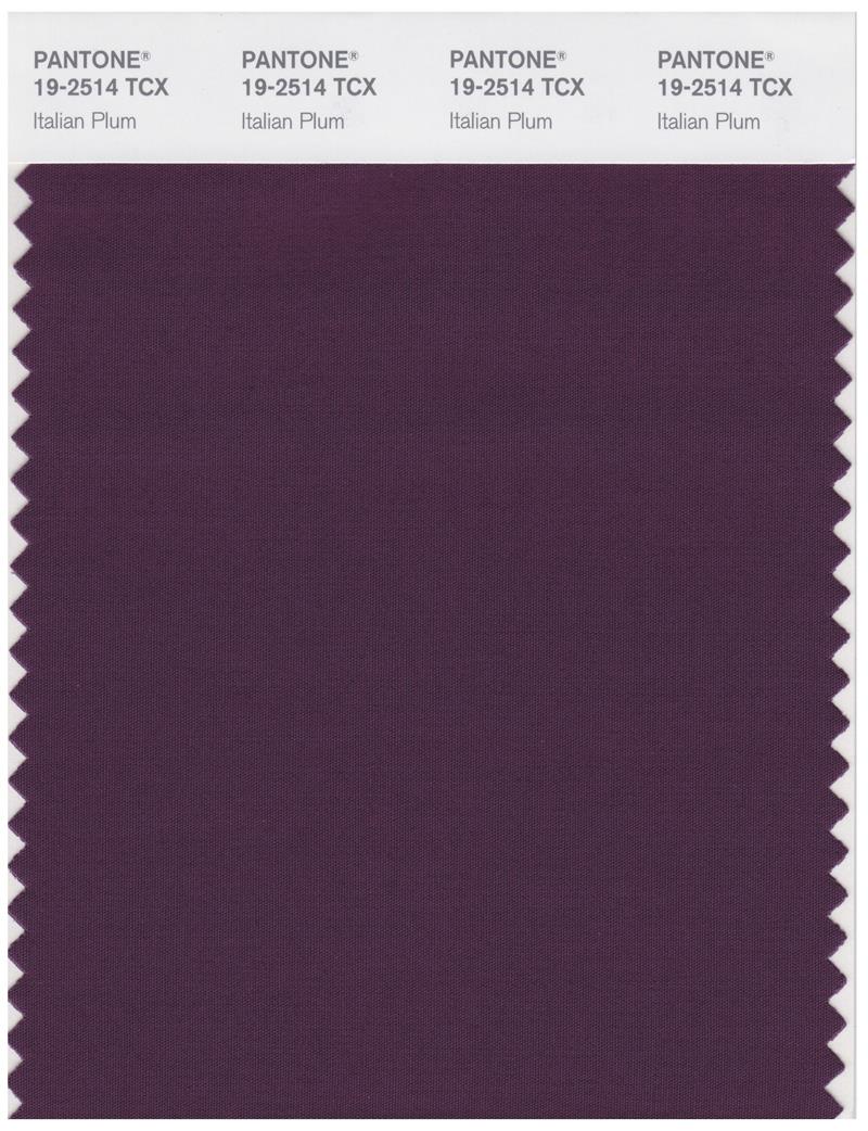 Pantone Smart 19-2514 TCX Color Swatch Card | Italian Plum 