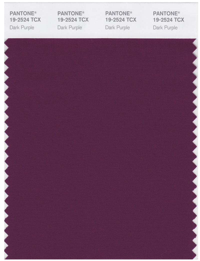 Pantone Smart 19-2524 TCX Color Swatch Card | Dark Purple 