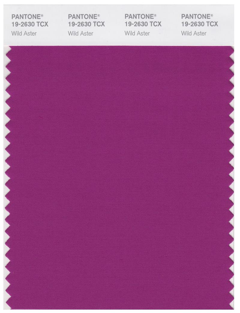 Pantone Smart 19-2630 TCX Color Swatch Card | Wild Aster 