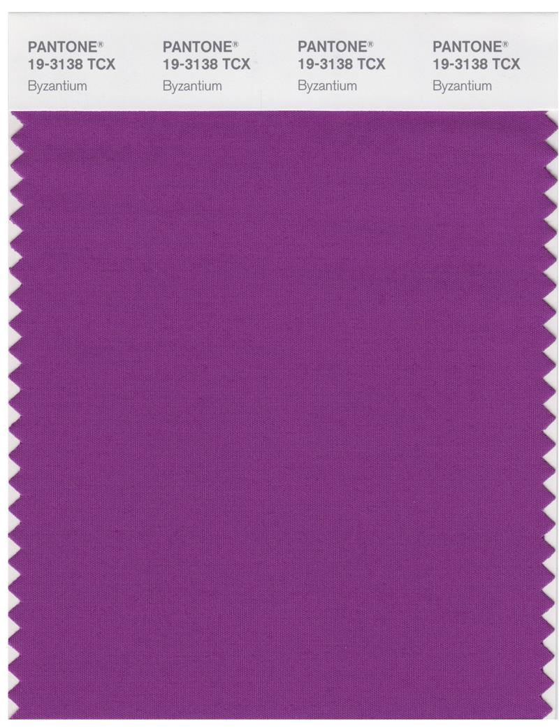 Pantone Smart 19-3138 TCX Color Swatch Card | Byzantium 