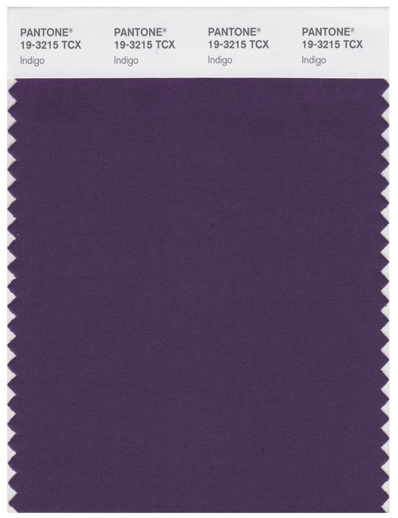 Pantone Smart 19-3215 TCX Color Swatch Card | Indigo 