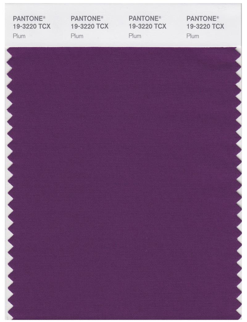 Pantone Smart 19-3220 TCX Color Swatch Card | Plum 