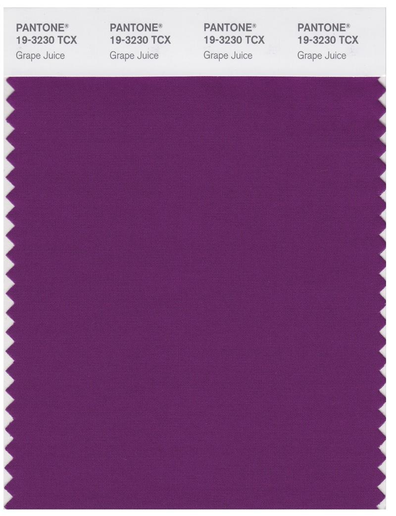 Pantone Smart 19-3230 TCX Color Swatch Card | Grape Juice 