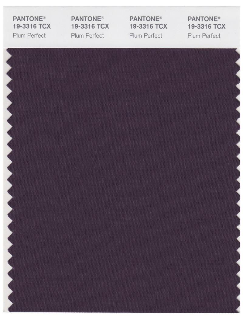 Pantone Smart 19-3316 TCX Color Swatch Card | Plum Perfect 