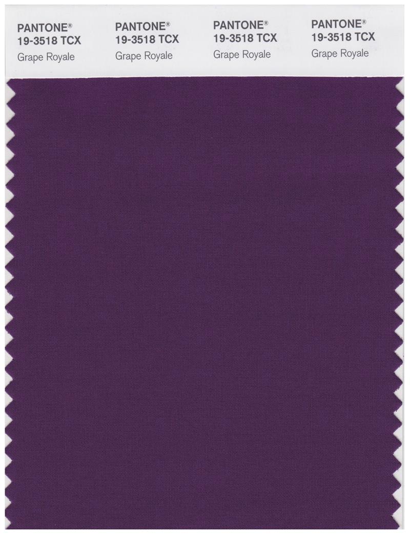 Pantone Smart 19-3518 TCX Color Swatch Card | Grape Royale 