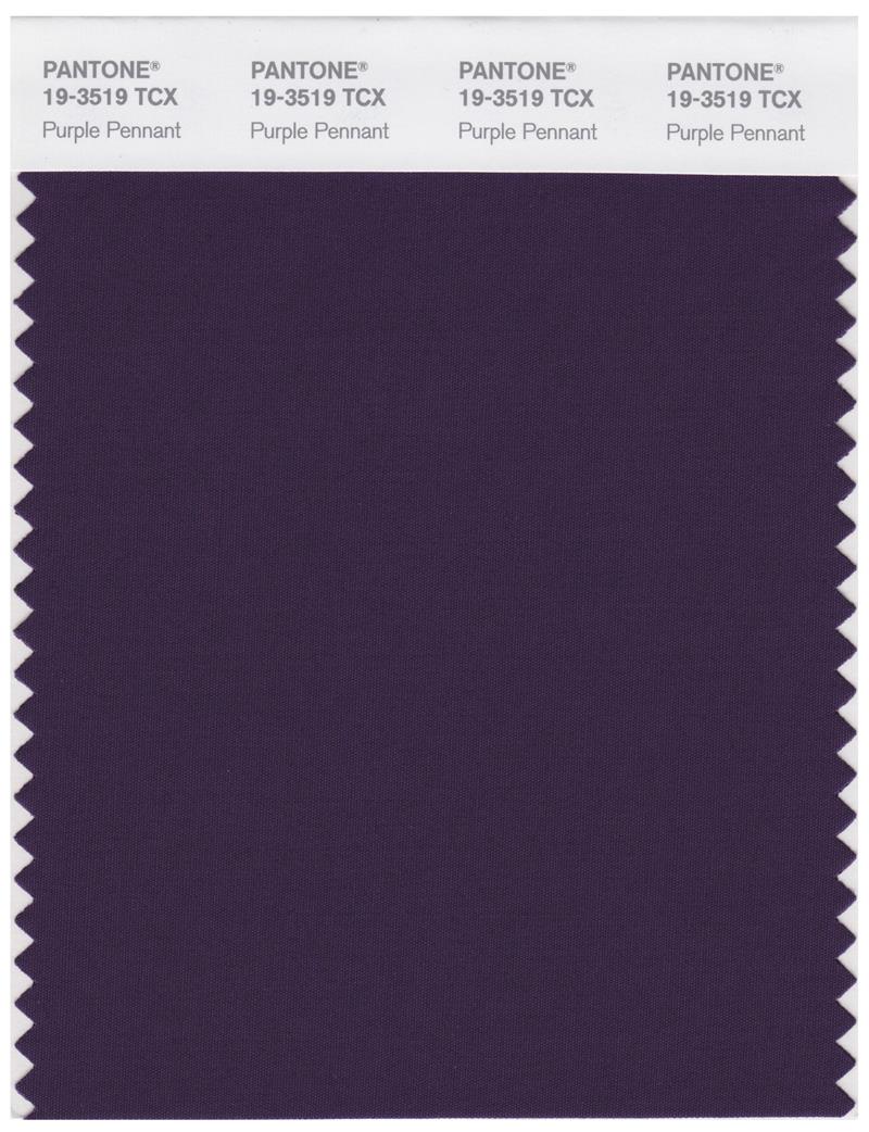 Pantone Smart 19-3519 TCX Color Swatch Card | Purple Pennant 