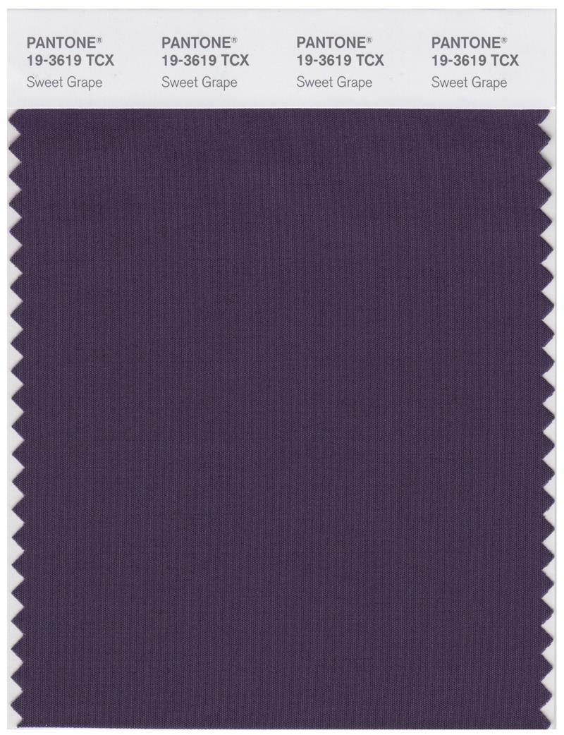 Pantone Smart 19-3619 TCX Color Swatch Card | Sweet Grape 