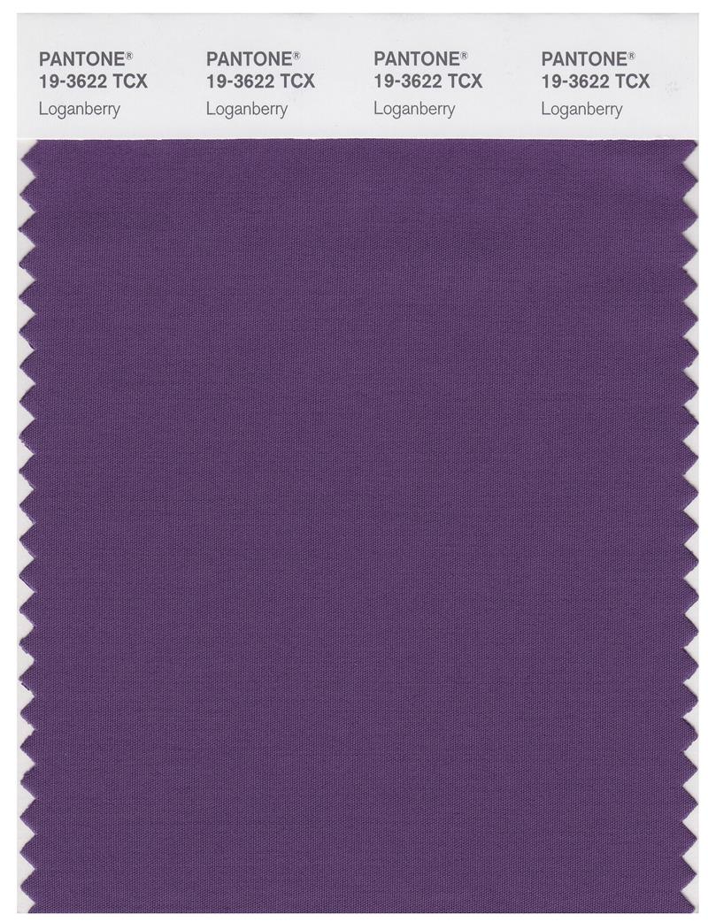 Pantone Smart 19-3622 TCX Color Swatch Card | Loganberry 