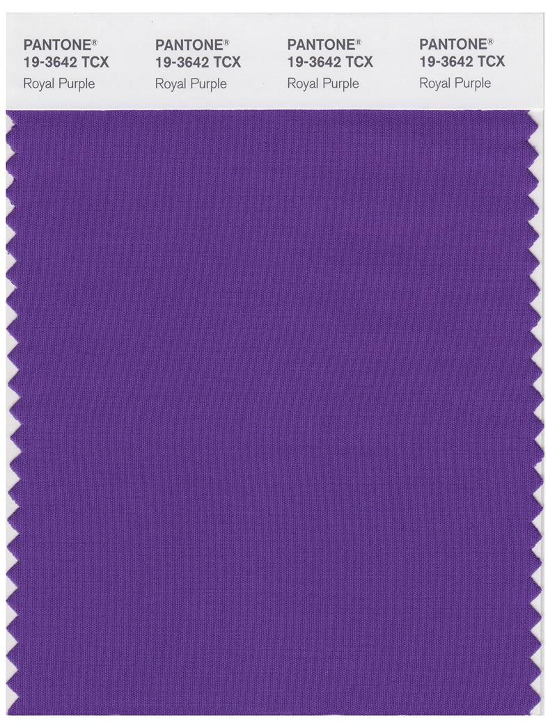 Pantone Smart 19-3642 TCX Color Swatch Card | Royal Purple 