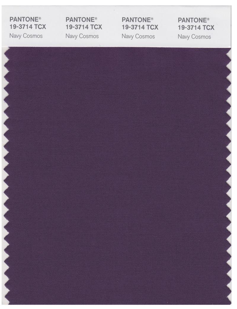 Pantone Smart 19-3714 TCX Color Swatch Card | Navy Cosmos 