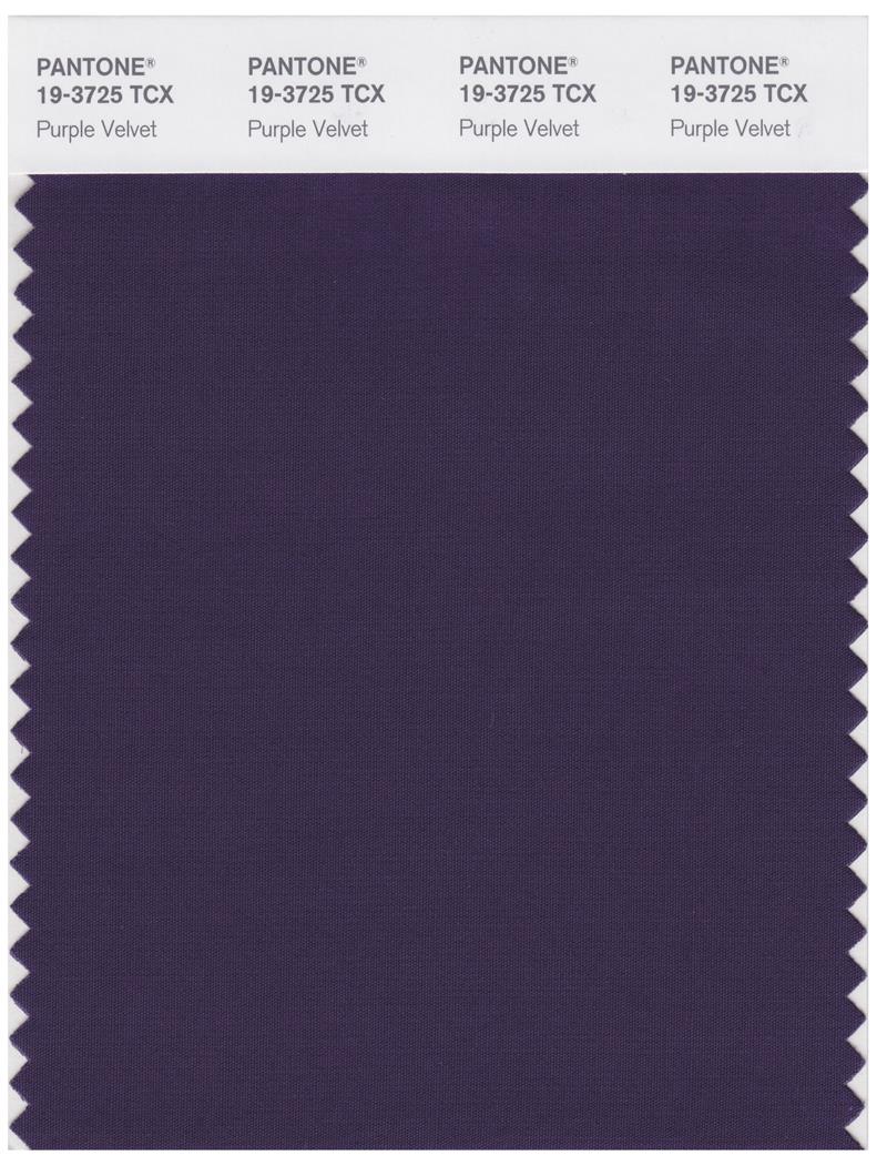 Pantone Smart 19-3725 TCX Color Swatch Card | Purple Velvet 