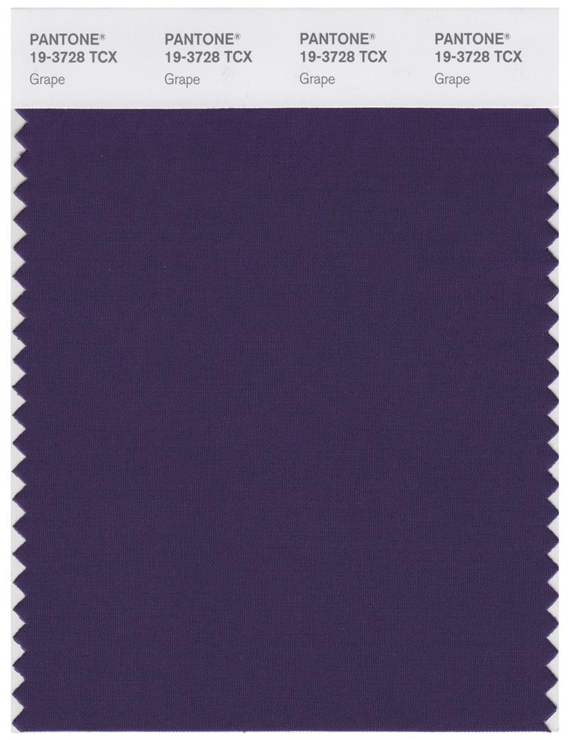 Pantone Smart 19-3728 TCX Color Swatch Card | Grape 