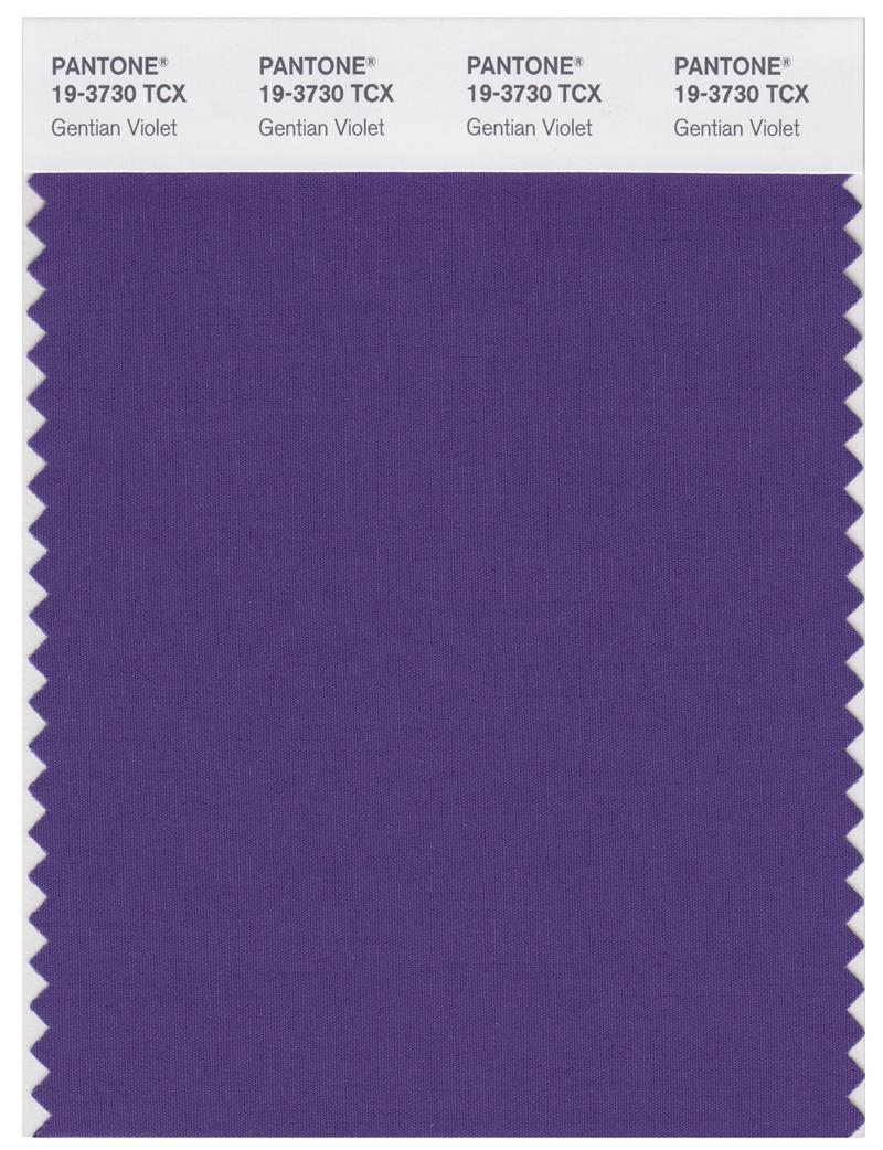 Pantone Smart 19-3730 TCX Color Swatch Card | Gentian Violet 